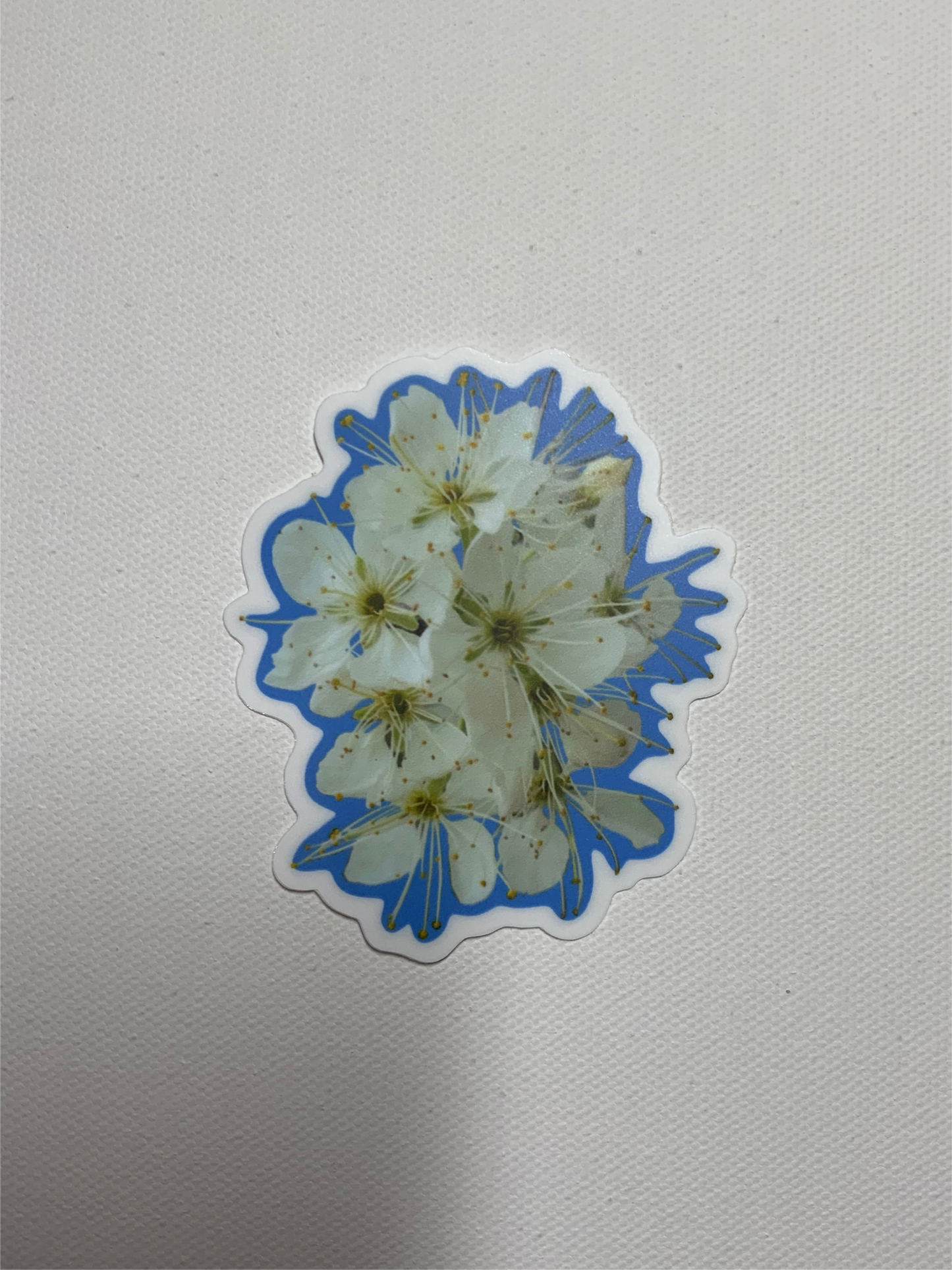 Plum blossoms