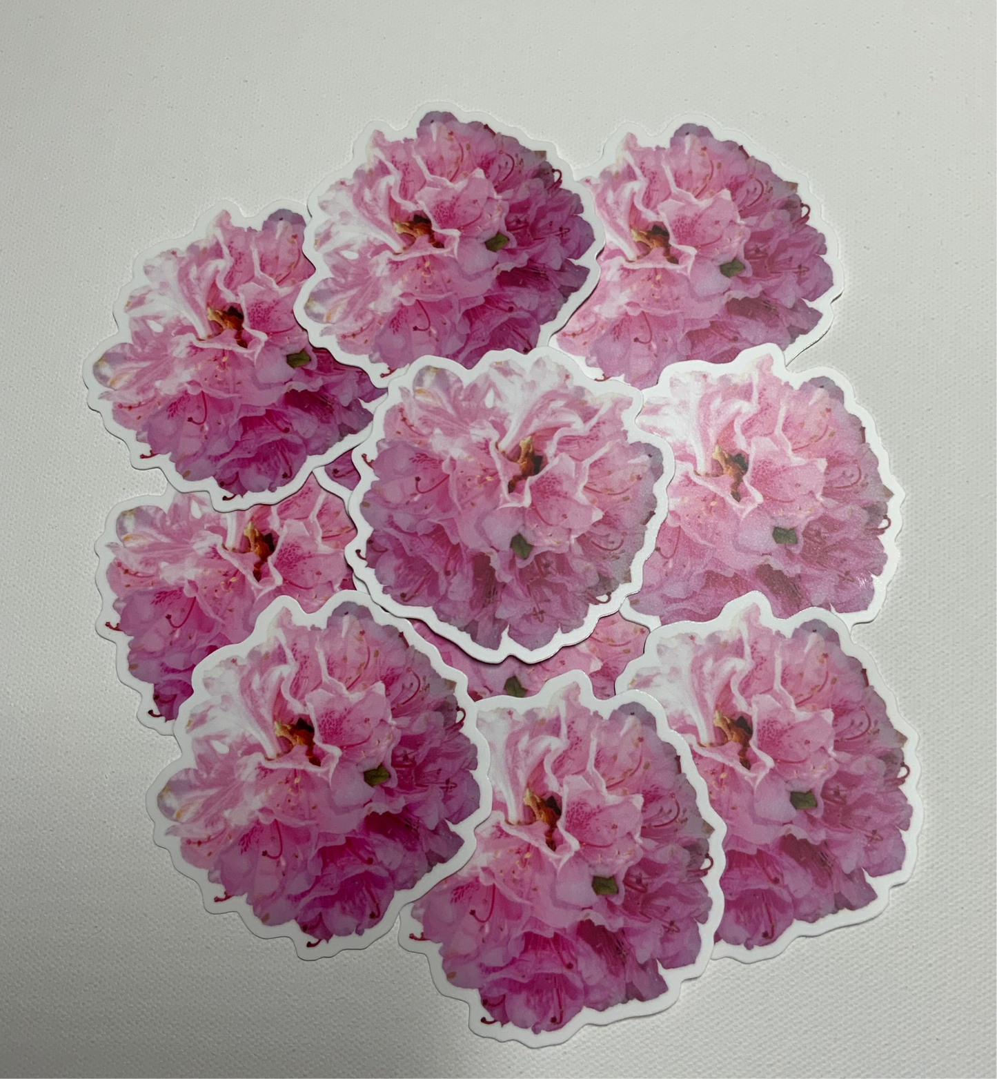 Rhododendron