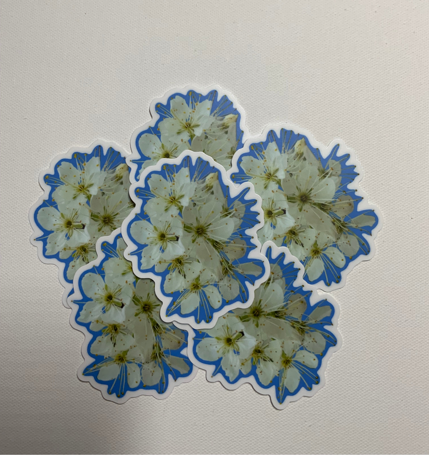 Plum blossoms