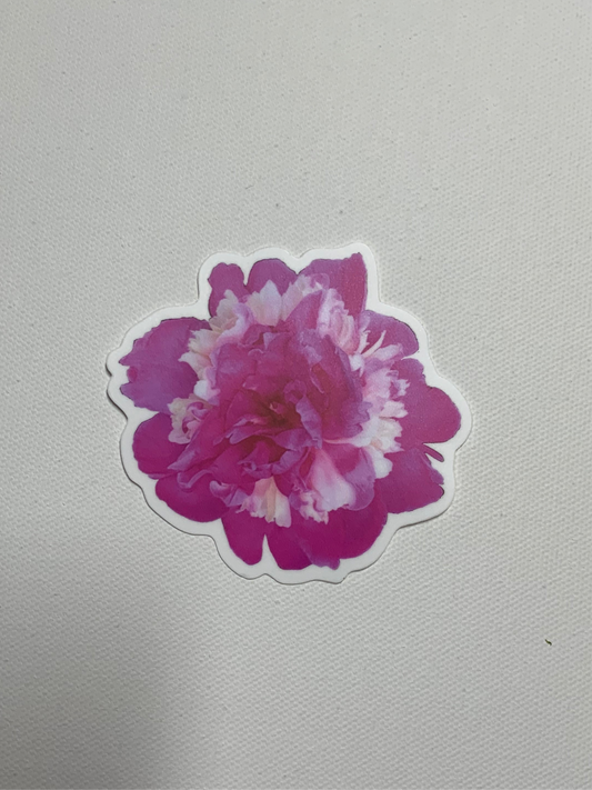 Peony